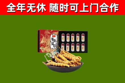 焦作回收冬虫夏草价格