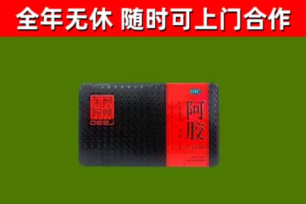 焦作回收阿胶